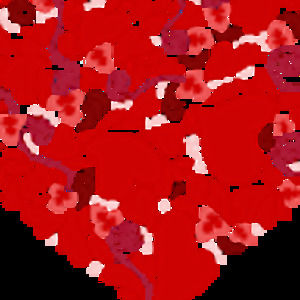 Meet your Posher, Isabella